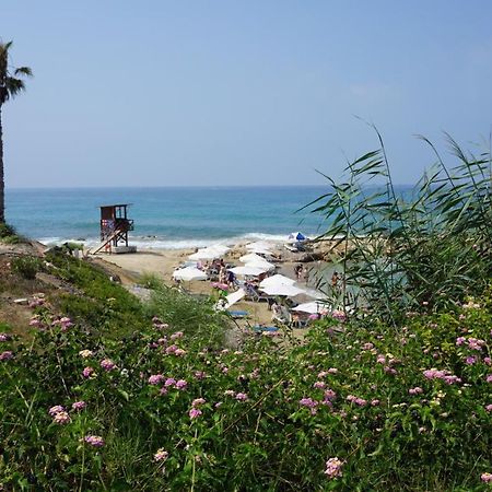 Limnaria Gardens Paphos, Near Beach Extérieur photo
