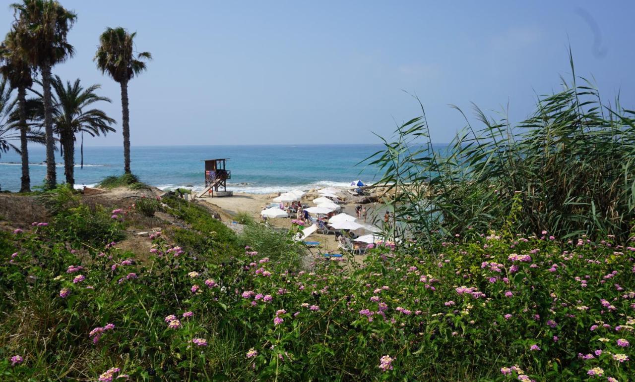 Limnaria Gardens Paphos, Near Beach Extérieur photo